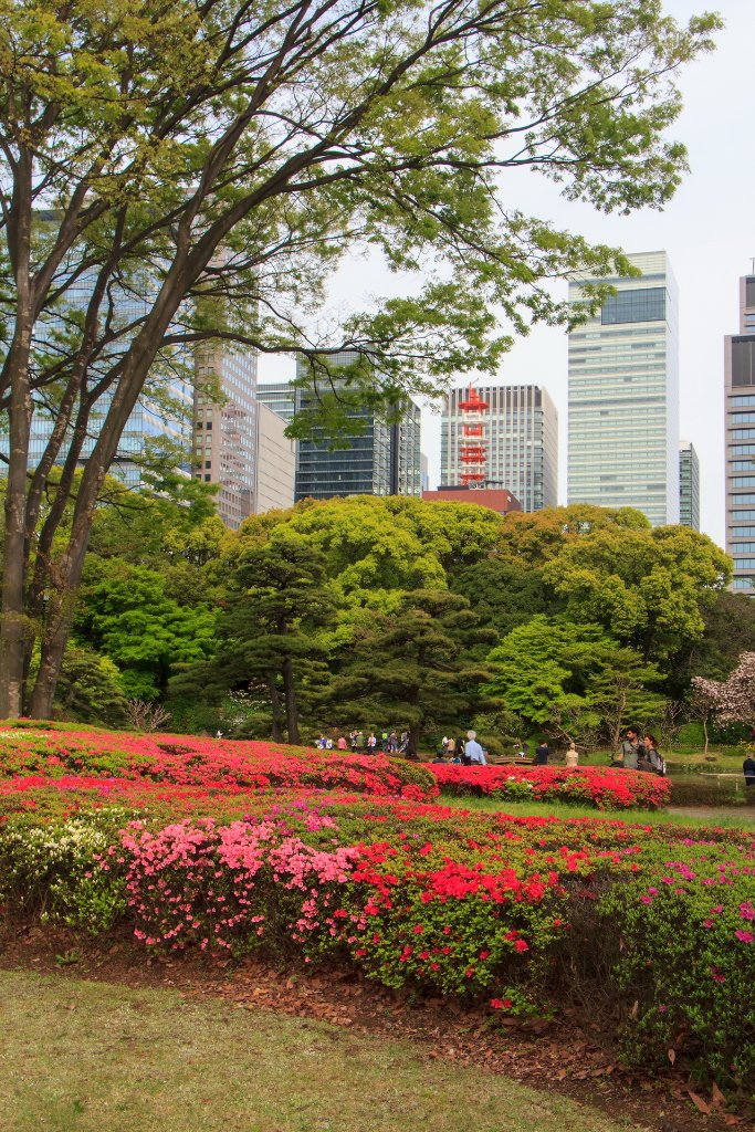 41-Imperial Palace East Gardens.jpg